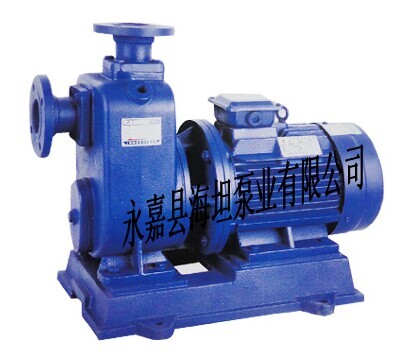 直聯(lián)式自吸排污泵ZWL型